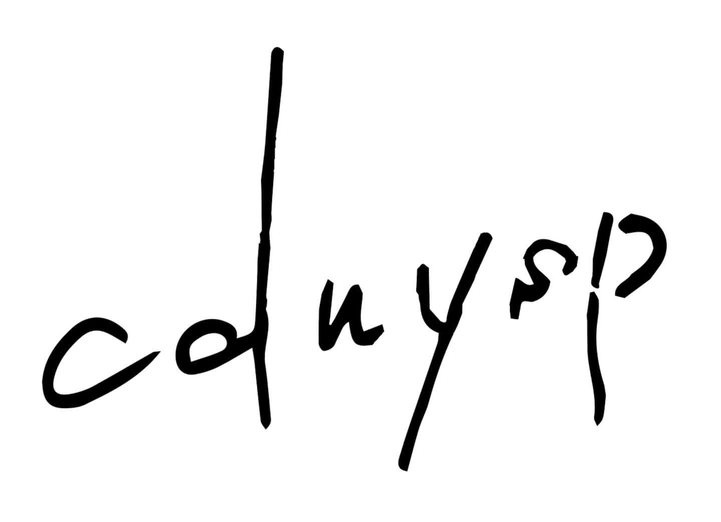 cdnysptype