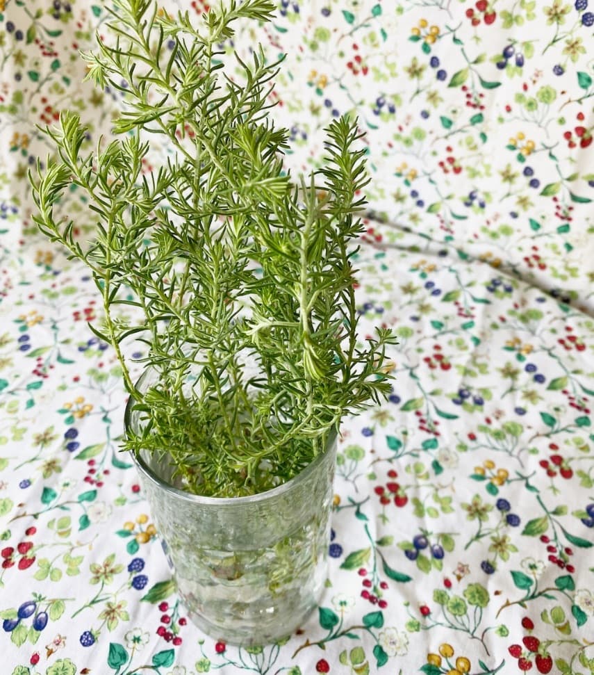 rosemary